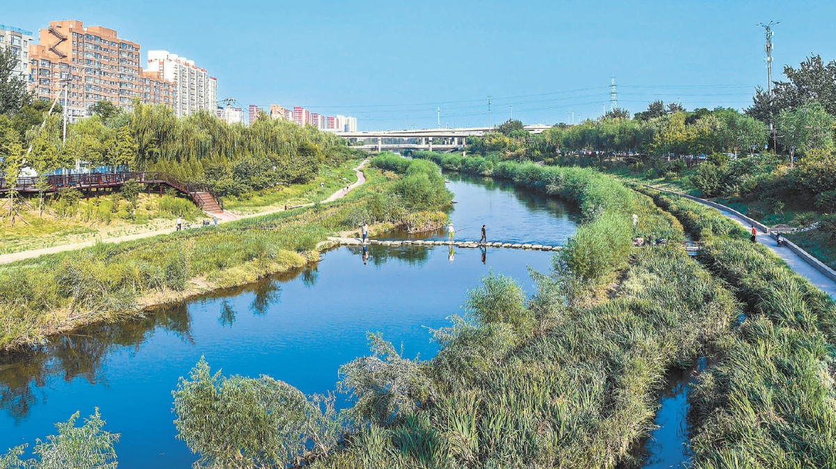 凉水河光彩桥段，河道内增设人工岛和小支流，栽种滩地植物，构建自然湿地河流，生机勃勃，野趣盎然。