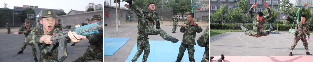 cuile31.jpg.jpg cuile31.jpg.jpg