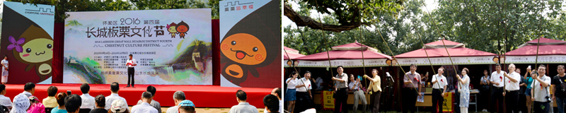 cuile315.jpg.jpg cuile315.jpg.jpg