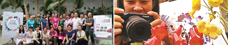 cuile311.jpg.jpg cuile311.jpg.jpg