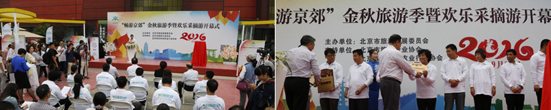 cuile311.jpg.jpg cuile311.jpg.jpg