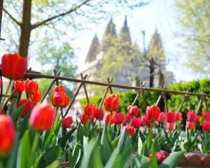 123.jpg.jpg 123.jpg.jpg