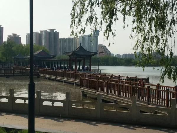 新增11个景点！这个家门口的免费公园，牡丹芍药开得正好！
