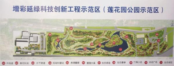新增11个景点！这个家门口的免费公园，牡丹芍药开得正好！