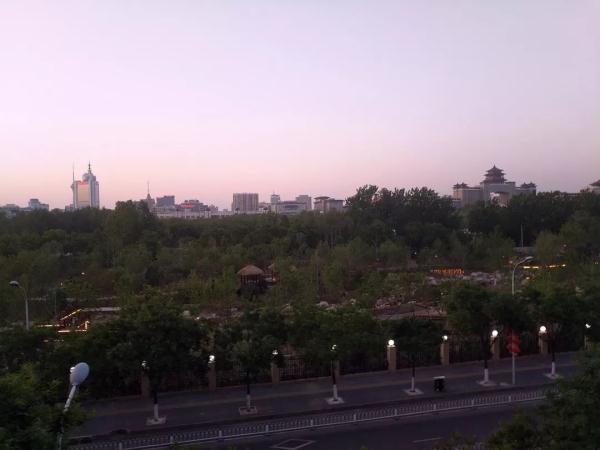 新增11个景点！这个家门口的免费公园，牡丹芍药开得正好！