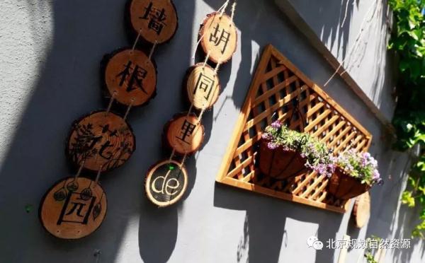 老城特色留白增绿，胡同微花园为社区增添“人情味儿”