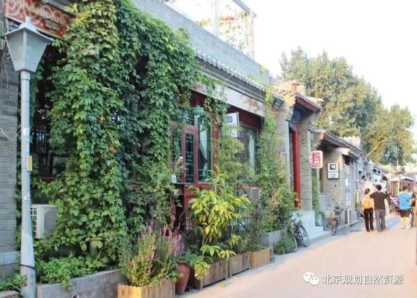 老城特色留白增绿，胡同微花园为社区增添“人情味儿”