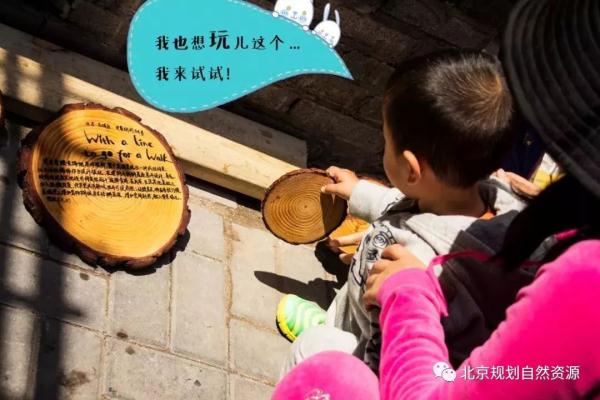 老城特色留白增绿，胡同微花园为社区增添“人情味儿”