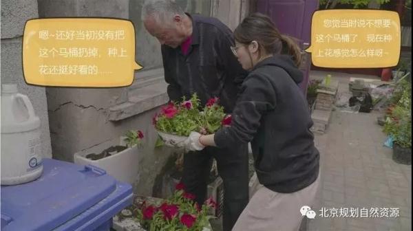 老城特色留白增绿，胡同微花园为社区增添“人情味儿”