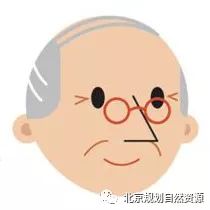 老城特色留白增绿，胡同微花园为社区增添“人情味儿”