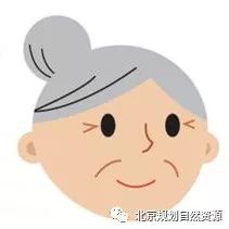 老城特色留白增绿，胡同微花园为社区增添“人情味儿”