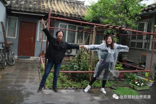 老城特色留白增绿，胡同微花园为社区增添“人情味儿”