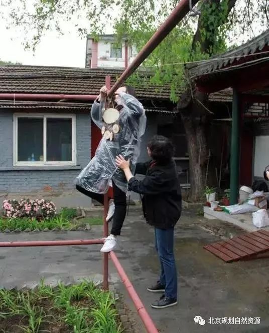 老城特色留白增绿，胡同微花园为社区增添“人情味儿”