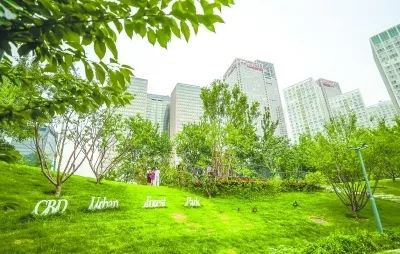 CBD建起首个城市森林公园