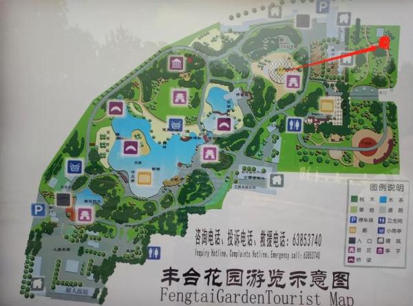 惊艳！玉兰花开了，就在北京四环边上这个免费又好玩的公园！