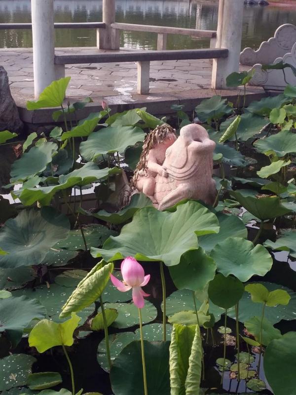 惊艳！玉兰花开了，就在北京四环边上这个免费又好玩的公园！