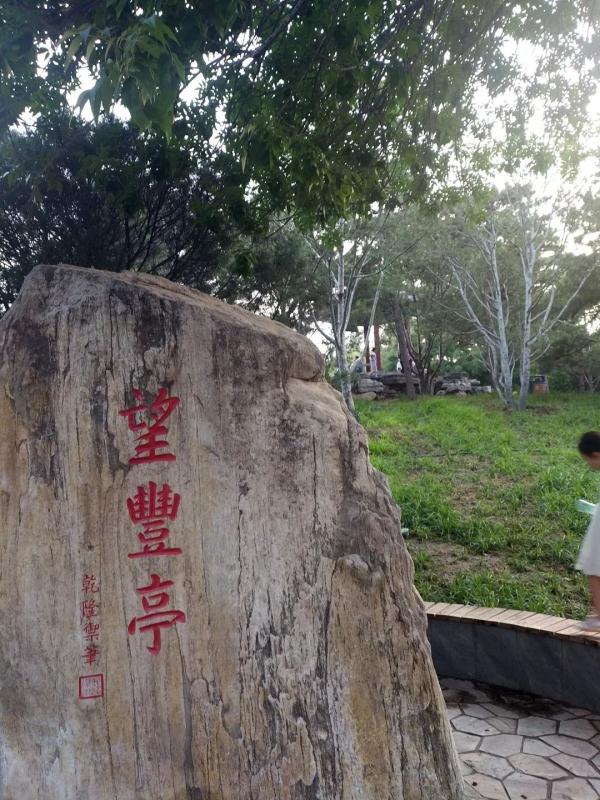 惊艳！玉兰花开了，就在北京四环边上这个免费又好玩的公园！