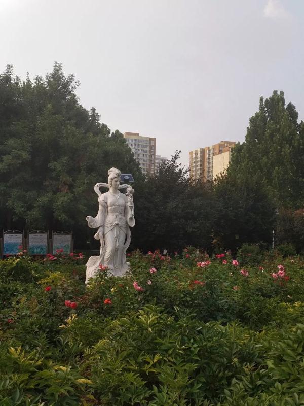 惊艳！玉兰花开了，就在北京四环边上这个免费又好玩的公园！