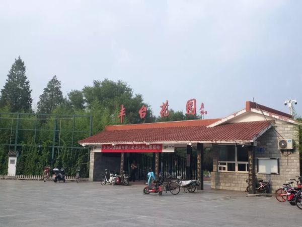 惊艳！玉兰花开了，就在北京四环边上这个免费又好玩的公园！