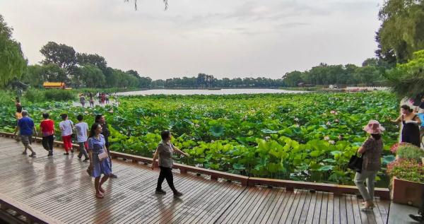 西海湿地公园 | 首都核心区的湿地公园