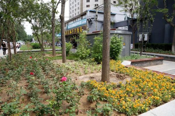 同仁医院口袋公园 | 繁华都市里的“街心花园”