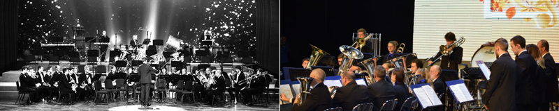 cuile315.jpg.jpg cuile315.jpg.jpg