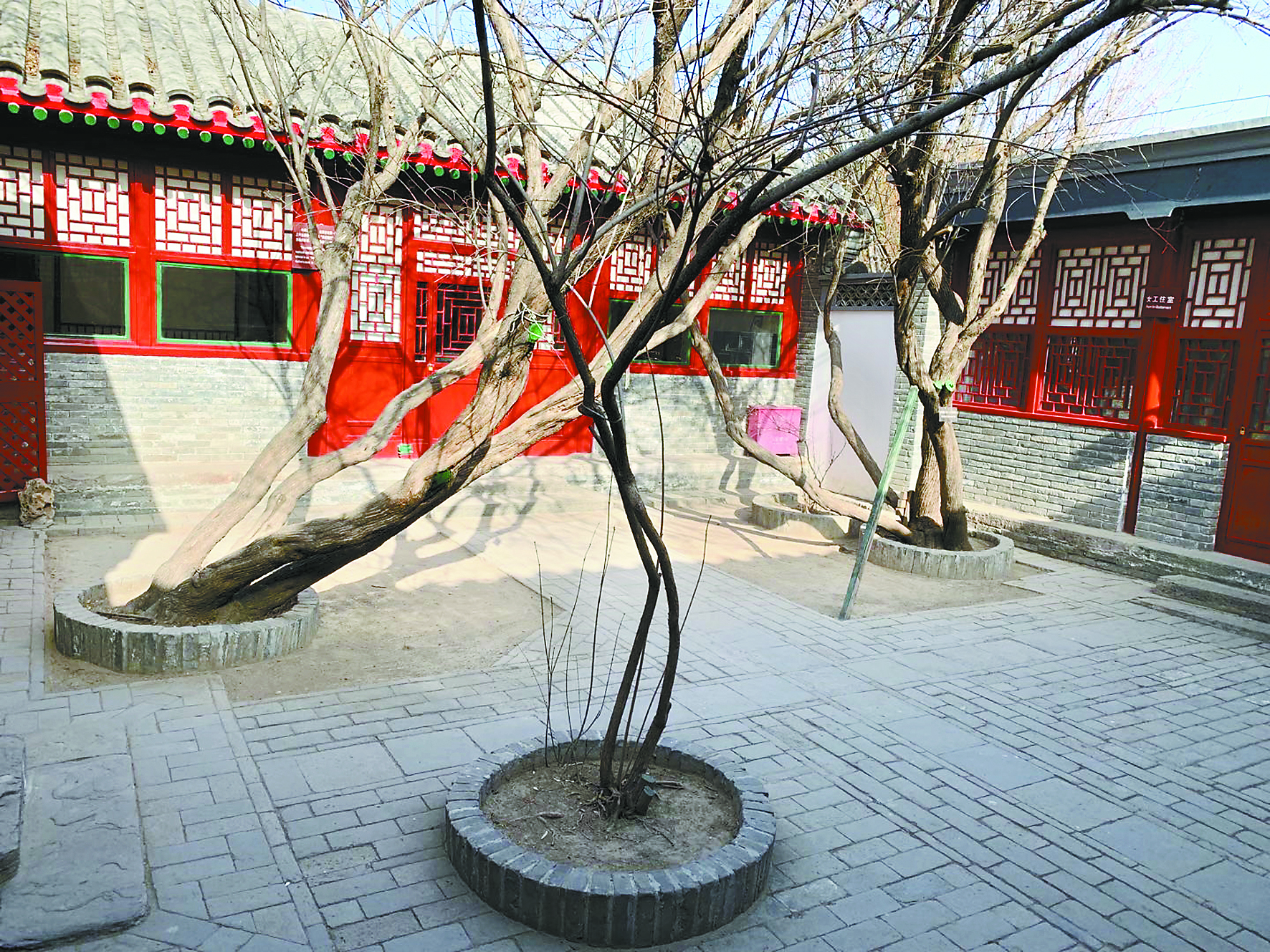 　西三条21号鲁迅故居，院中两棵白丁香为鲁迅所植。