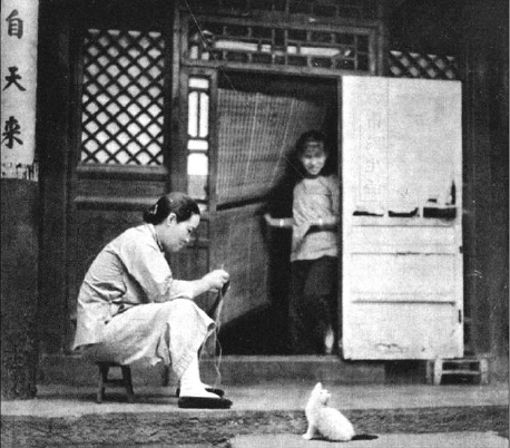 北京人过去主要居住四合院平房，鼠患严重，而养猫主要是为捕鼠，而且大多类似散养，任其自由出入。