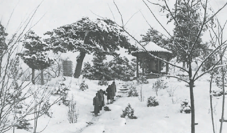 1931年，雪中的燕园。
