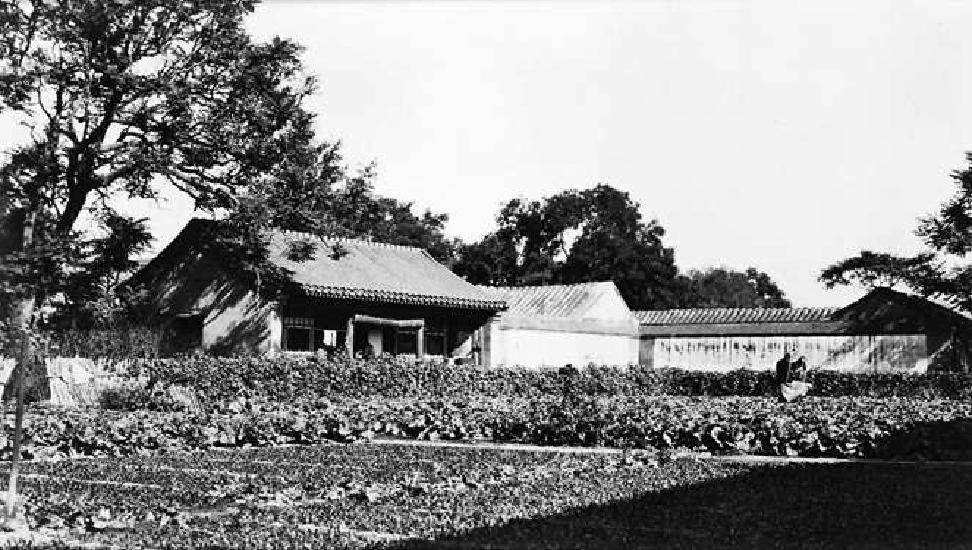 民国期间广化寺山门外的菜地。