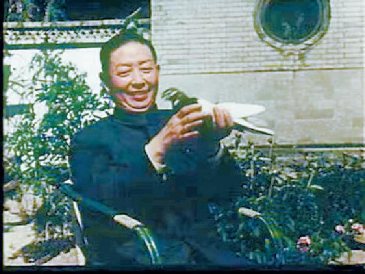 梅兰芳与鸽子（《梅兰芳的舞台艺术》剧照）