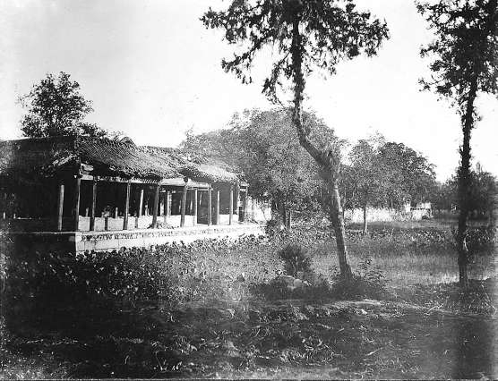 1905年拍摄的后宫残迹。立德夫人描述：“各种开花的美丽灌木似乎都种在了这里，而且都长得过于茂盛，枝蔓纠结……这儿的花园气象万千，让人不由自主地想起王子发现睡美人并唤醒她的地方。”