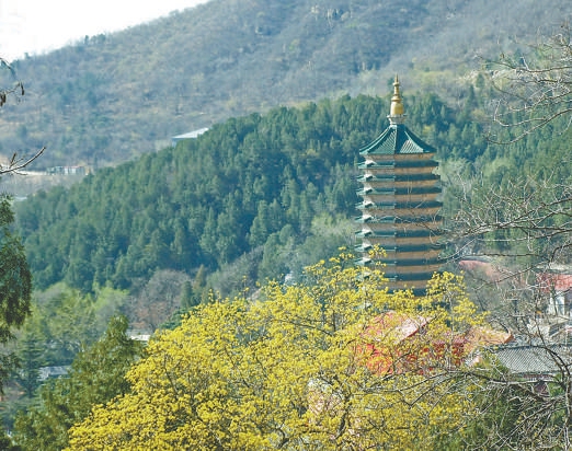 虎头山舍利塔