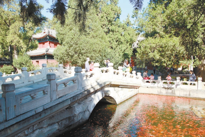 卧佛寺石桥