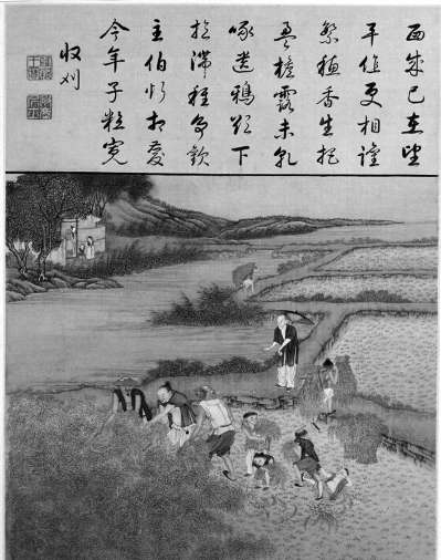 《雍正耕织图》故宫博物院藏
