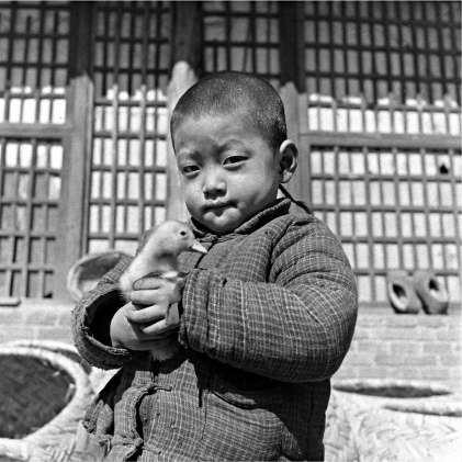 养鸭童来增禄