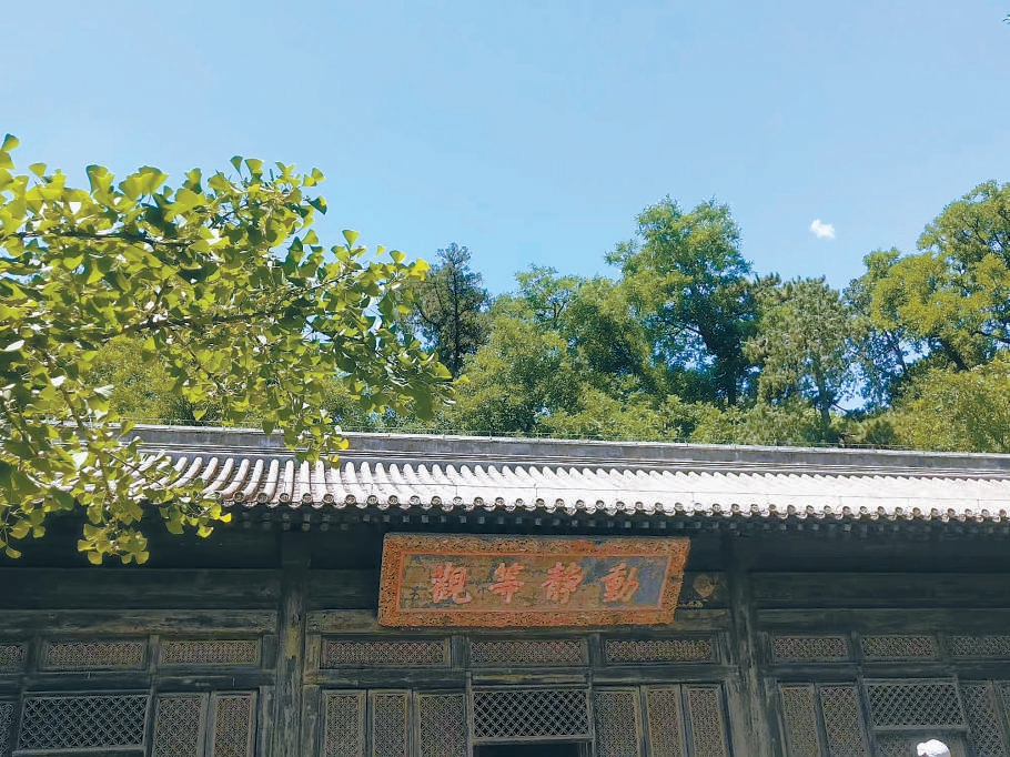 大觉寺内的白玉兰树相传是清代迦陵禅师亲手种植