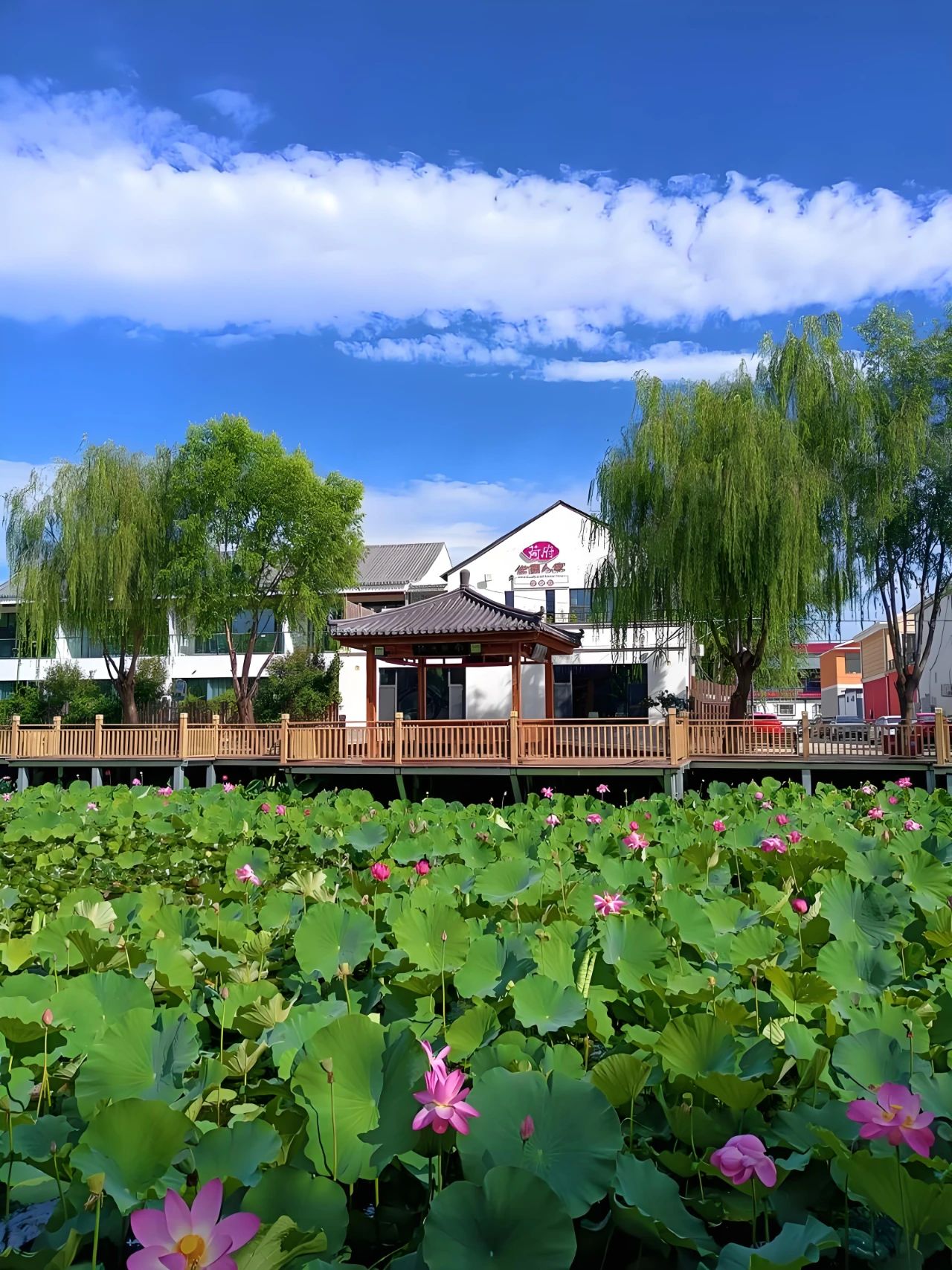 北京推出七条特色乡村旅游线路