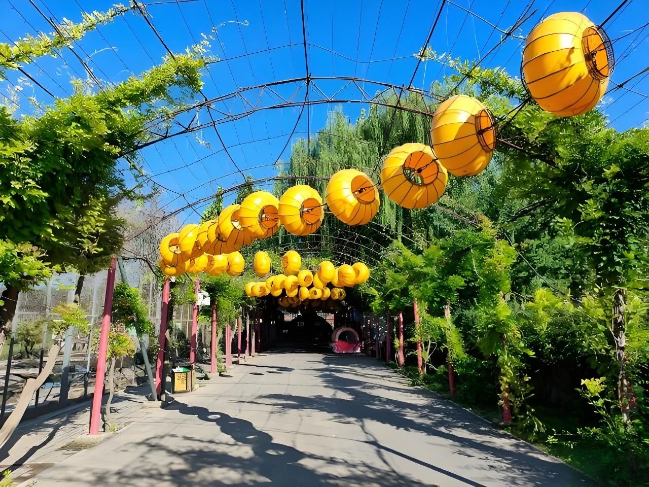 北京推出七条特色乡村旅游线路