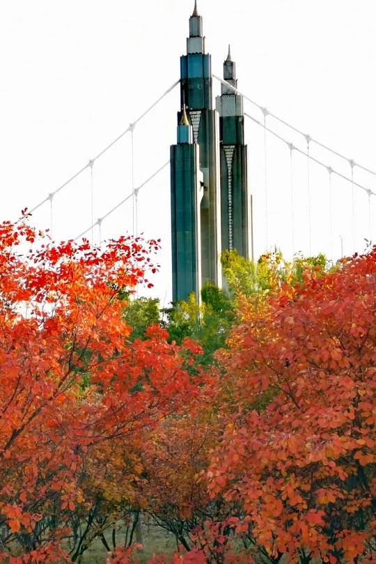 初秋→深秋,昌平这7条赏秋线路必冲 初秋→深秋,昌平这7条赏秋线路必冲