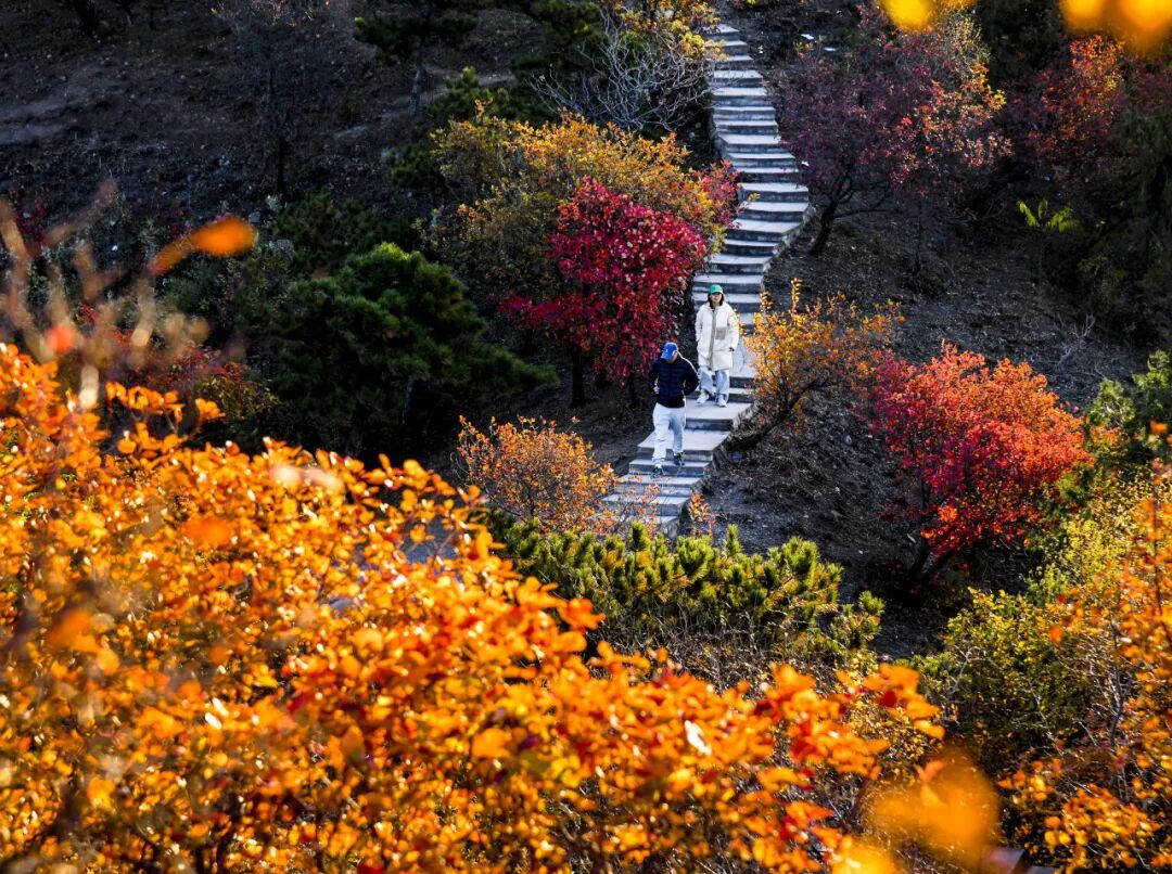 初秋→深秋,昌平这7条赏秋线路必冲 初秋→深秋,昌平这7条赏秋线路必冲
