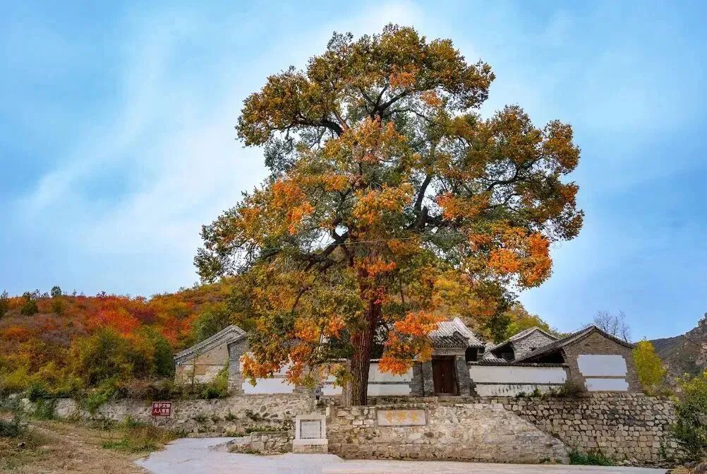 初秋→深秋,昌平这7条赏秋线路必冲 初秋→深秋,昌平这7条赏秋线路必冲
