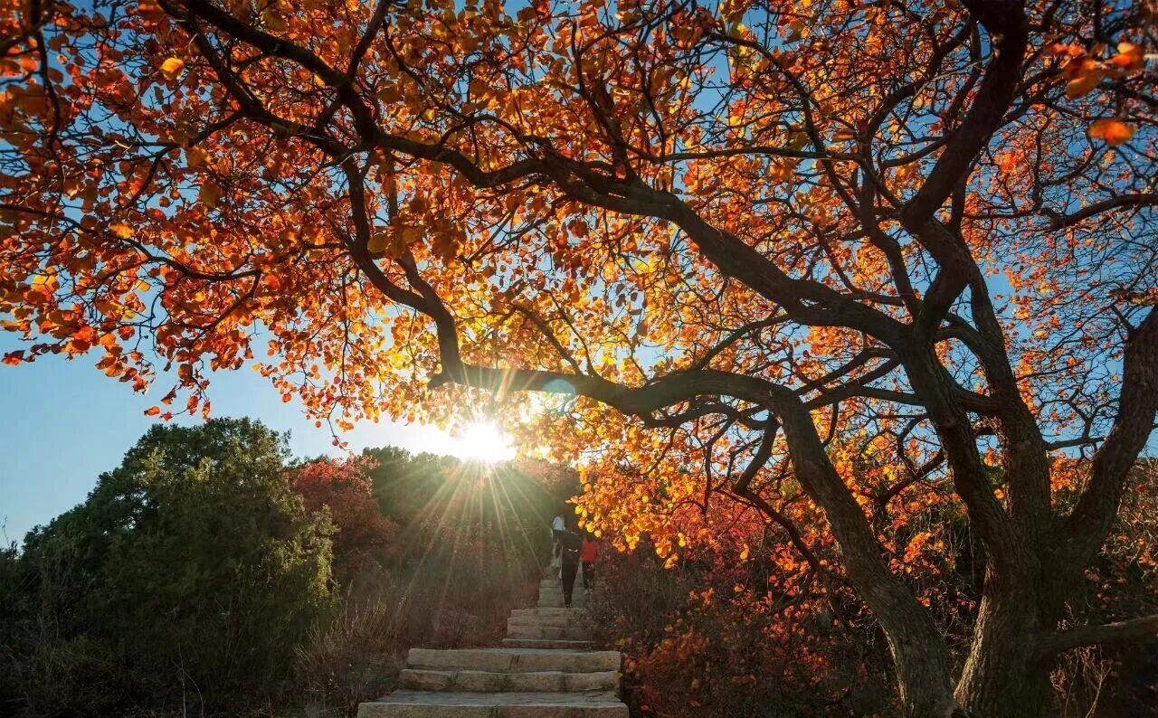 秋日宜登高 宝藏登山赏秋路线推荐 秋日宜登高 宝藏登山赏秋路线推荐