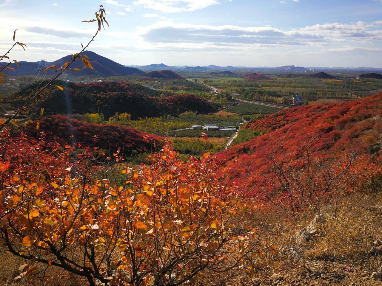 顺义秋日精品线 从银杏到浅山的斑斓之旅 顺义秋日精品线 从银杏到浅山的斑斓之旅
