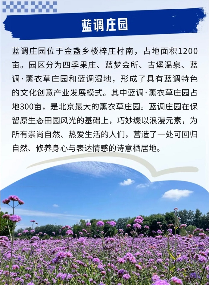 北京初冬漫步指南：两条宝藏路线 小众又浪漫