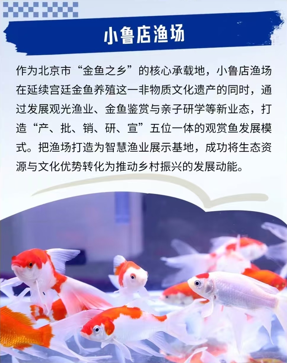 北京初冬漫步指南：两条宝藏路线 小众又浪漫