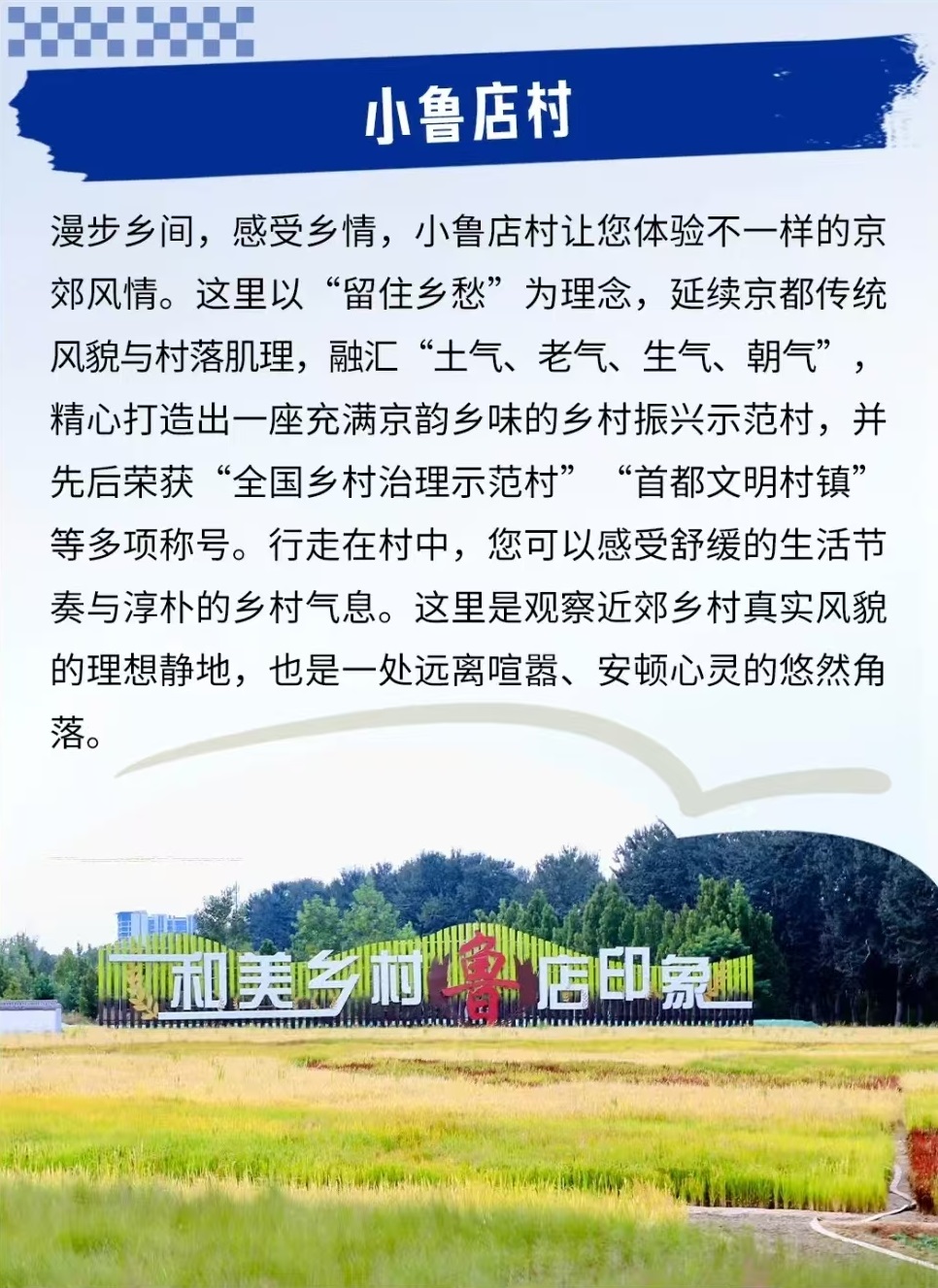 北京初冬漫步指南：两条宝藏路线 小众又浪漫