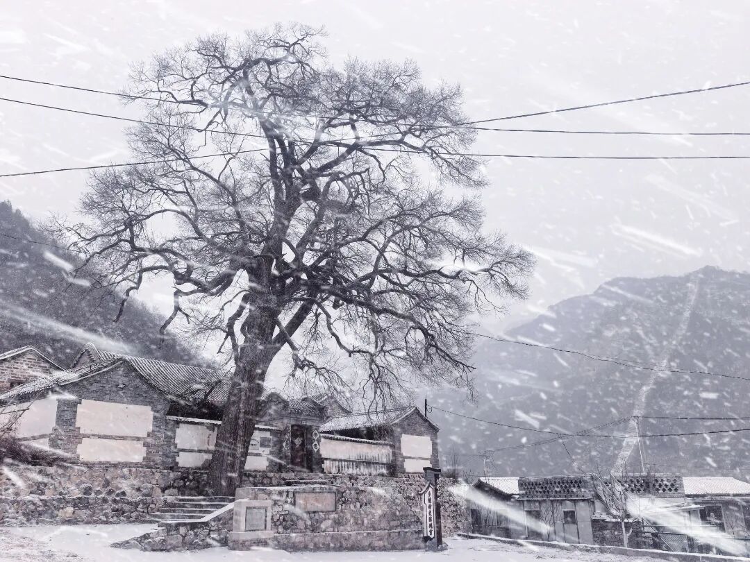 京郊赏雪宝藏线路 解锁冬日限时浪漫