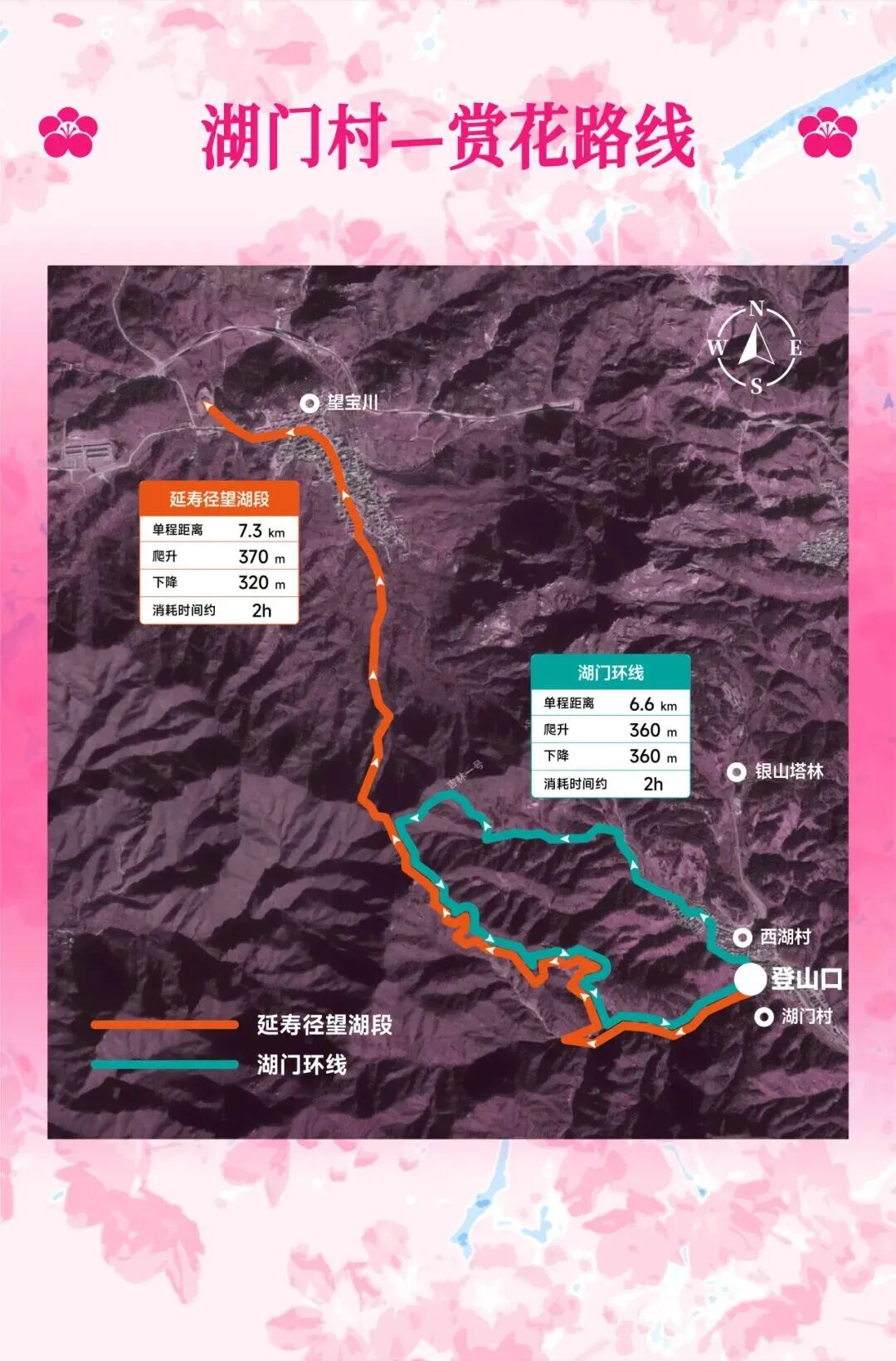 延寿最佳赏花期即将到来！解锁徒步&骑行赏花全指南