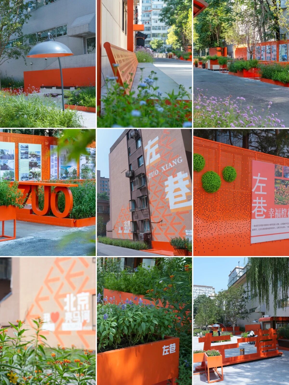 北京散步新搭子 Color Walk路线拿走不谢